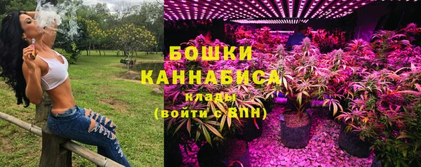 прущая мука Бородино